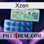 Xzen new02